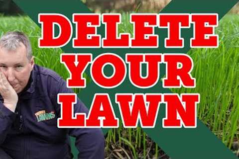 QUICKEST way to turn a TERRIBLE lawn into a GREAT lawn