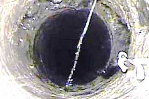 Experts Have Just Made A Chilling Discovery In The Arctic &amp; Said We Can't Stop It From Happening
