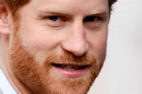 Was Prince Harry the One Princess Diana Left Behind?