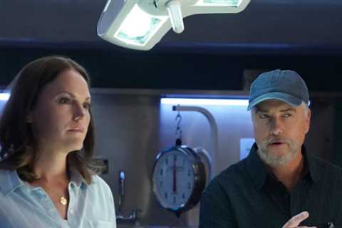 Jorja Fox Leaves CSI: Vegas in Time for the Second Season