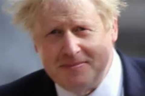 Boris Johnson's hair truth revealed