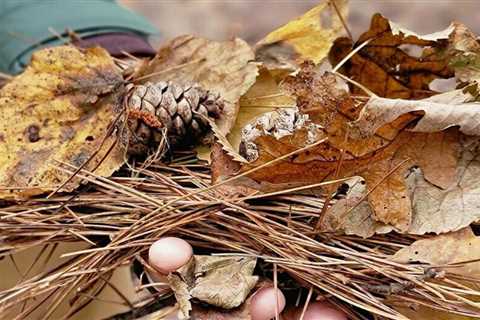 There are three ways to build a campfire