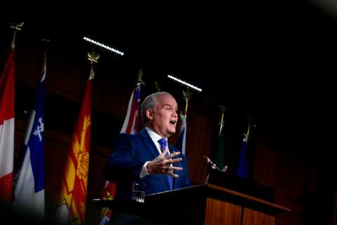 Erin O'Toole has to fight for his leadership.