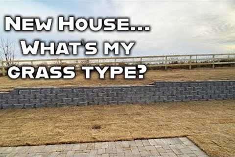 New house is built. Sod lawn is installed. And I have no clue what type of bermudagrass it is!