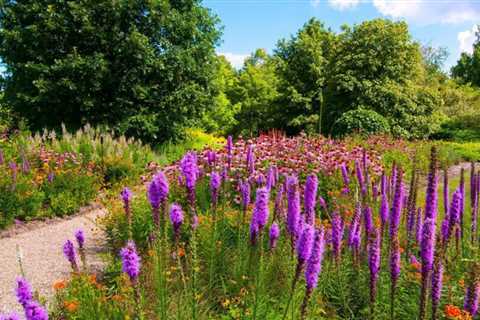These are the Best Summer Color Plants For Northern Gardeners