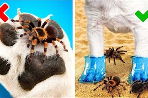 Useful Gadgets and Clever Hacks Every Pet Owner Should Know