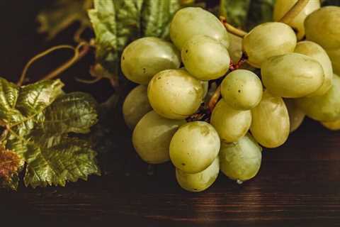 Can Bearded Dragons Eat Grapes?