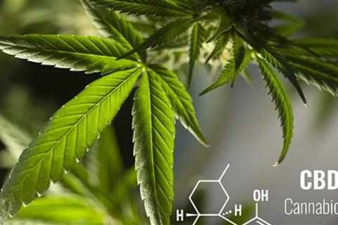 Is CBD Oil able to reduce Complex PTSD symptoms?
