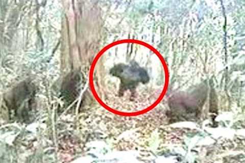This Team Of Experts Revealed That While Exploring This Jungle They Made An Unexpected Discovery