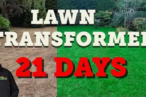 WORST lawn yet gets TRANSFORMED in a lawn reset
