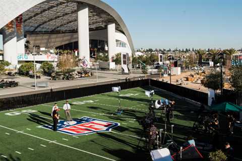 The N.F.L. The N.F.L.