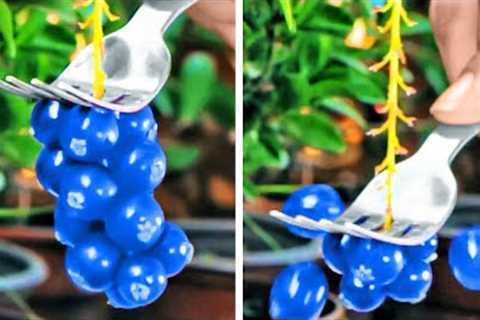 Clever Gardening Hacks You’ll Want To Know