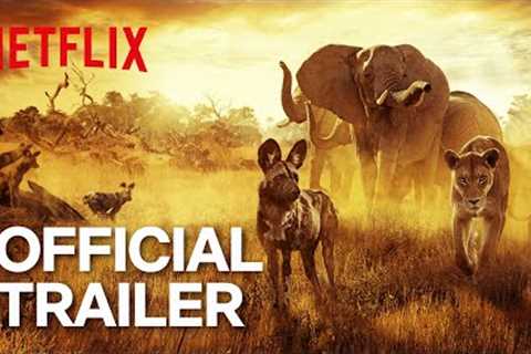 Surviving Paradise: A Family Tale | Official Trailer | Netflix
