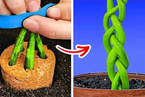 Clever Plant Hacks For Your Home Garden