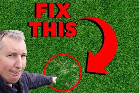 THIS COULD BE MY BEST TIP OF THE YEAR *yet* / February lawn care