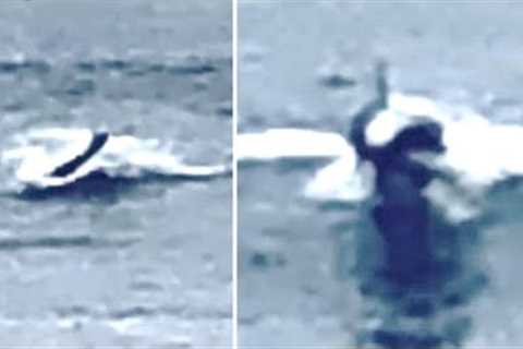 This Old Navy Document Revealed That Officers Onboard This Ship Encountered Something Mysterious
