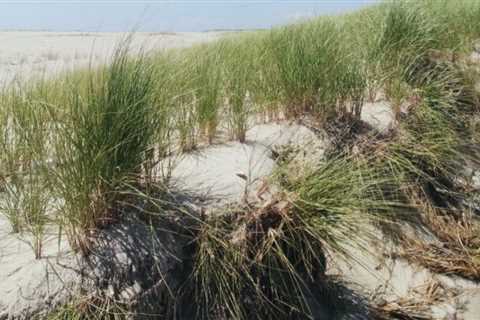 Peace &amp; Calm at Nantucket: Traveling Solo