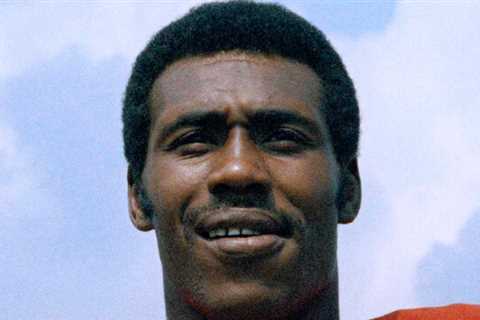 Charley Taylor, Running Back Turned Hall of Fame Receiver, Dies at 80