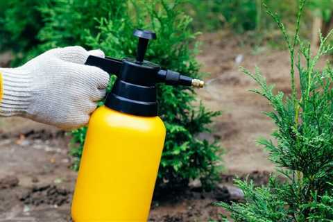 Lawn Sprayers: What To Know Before You Buy