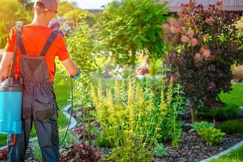Tips For Growing a Kitchen Vegetable Garden at Home