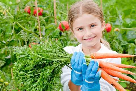 Top Tips For Using Garden Soil in Containers