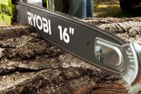 7 Best Gas Chainsaws