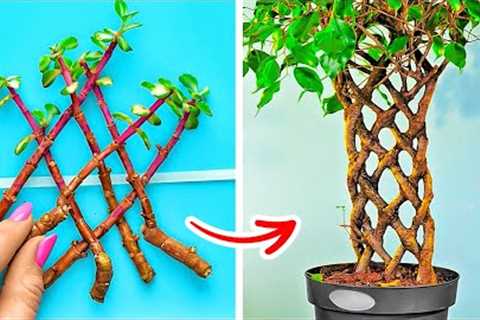 Awesome Plant Growing Hacks For Beginners