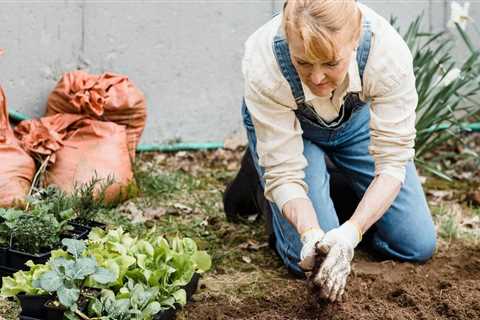 Gardening Tips For February - What Job Do Flowers Do?