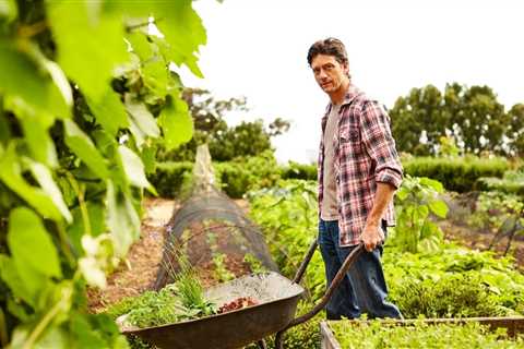 Better Homes and Gardens Books and Planting Books For Beginners
