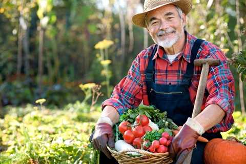 Trellis Vegetable Garden - Benefits of Trellis Gardening