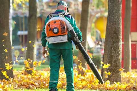 Why Rake Leaves on Ground?