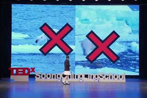 Why Melting Ice is the Problem of Our Generation | Sophie Li | TEDxSoongChingLingSchool