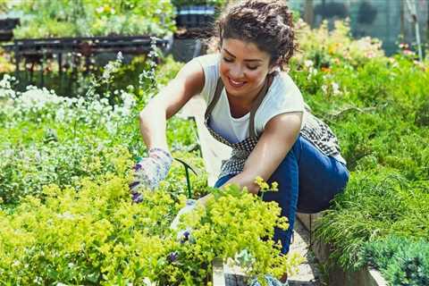 Easy Gardening Ideas - How to Create a Beautiful Garden on a Budget