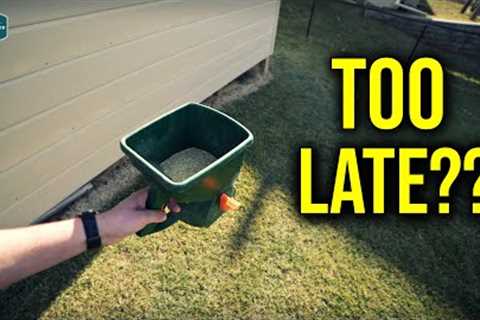 Is It TOO LATE To Dormant Seed Your Lawn??