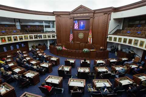 Florida Senate passes Voting Bill to Create Election Crimes Agency