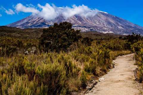 What are the easiest routes to climb Kilimanjaro's highest peak?