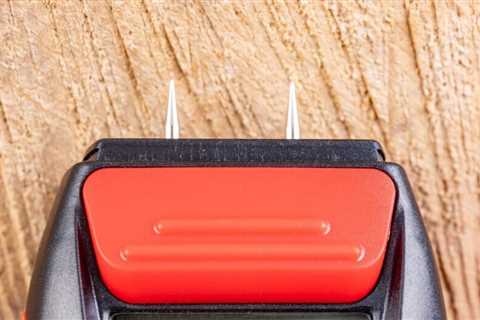 8 Best Wood Moisture Meters