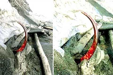 Scientists Have Just Revealed They Have Made A Worrying Discovery Inside This Glacier In The Arctic