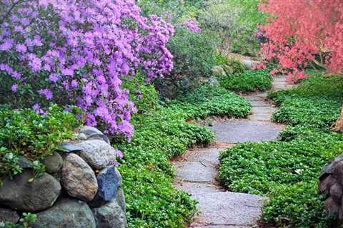 August Gardening Tips - Things to Do in the Garden in August