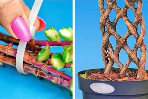 Clever Plant Hacks And DIY Gardening Ideas