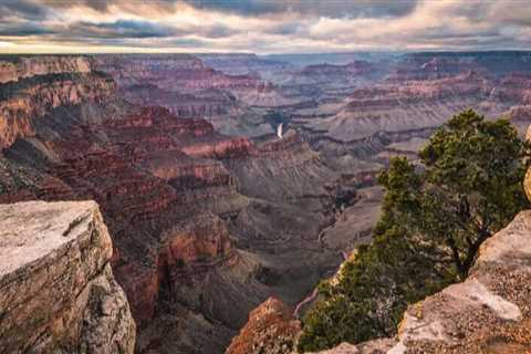 Five Reasons to Visit Arizona