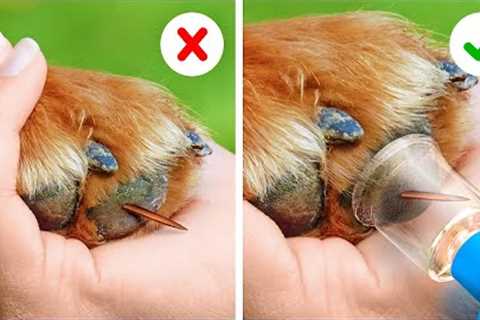 EVERY PET OWNER SHOULD KNOW THESE HACKS AND GADGETS