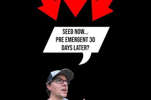 Seed Now and Pre-Emergent 30 Days Later??