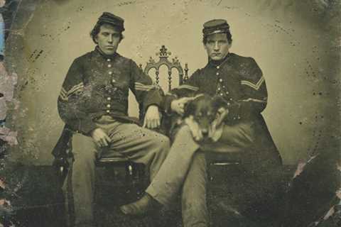 “He Was ‘Tail Up’ All Day”: Meet the Very Good Boy Who Fought (and Fetched) in the Civil War