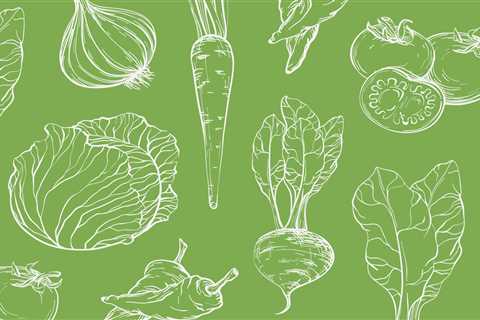 Easy Vegetables For First Time Gardeners