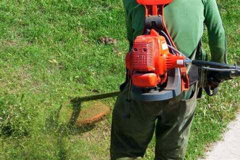 7 Best String Trimmer Harnesses