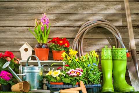Best Fruits and Vegetables For Small Gardens