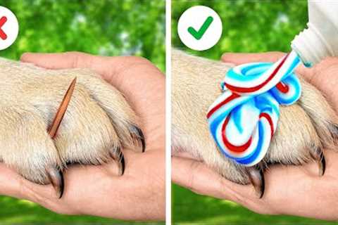 SMART HACKS AND GADGETS FOR PET OWNERS