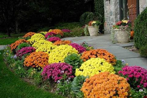 Fall Garden Maintenance and Fall Garden Cleanup Checklist