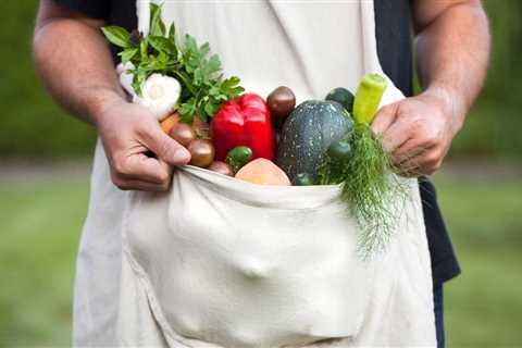 How to Layout a Vegetable Garden